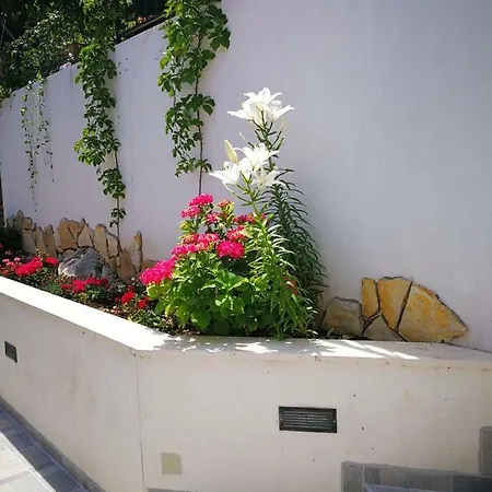 Appartement Liana *