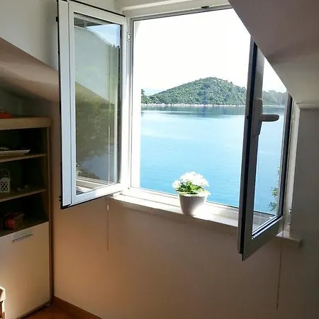 Apartment Liana